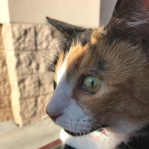 Meet your Posher, Meghan